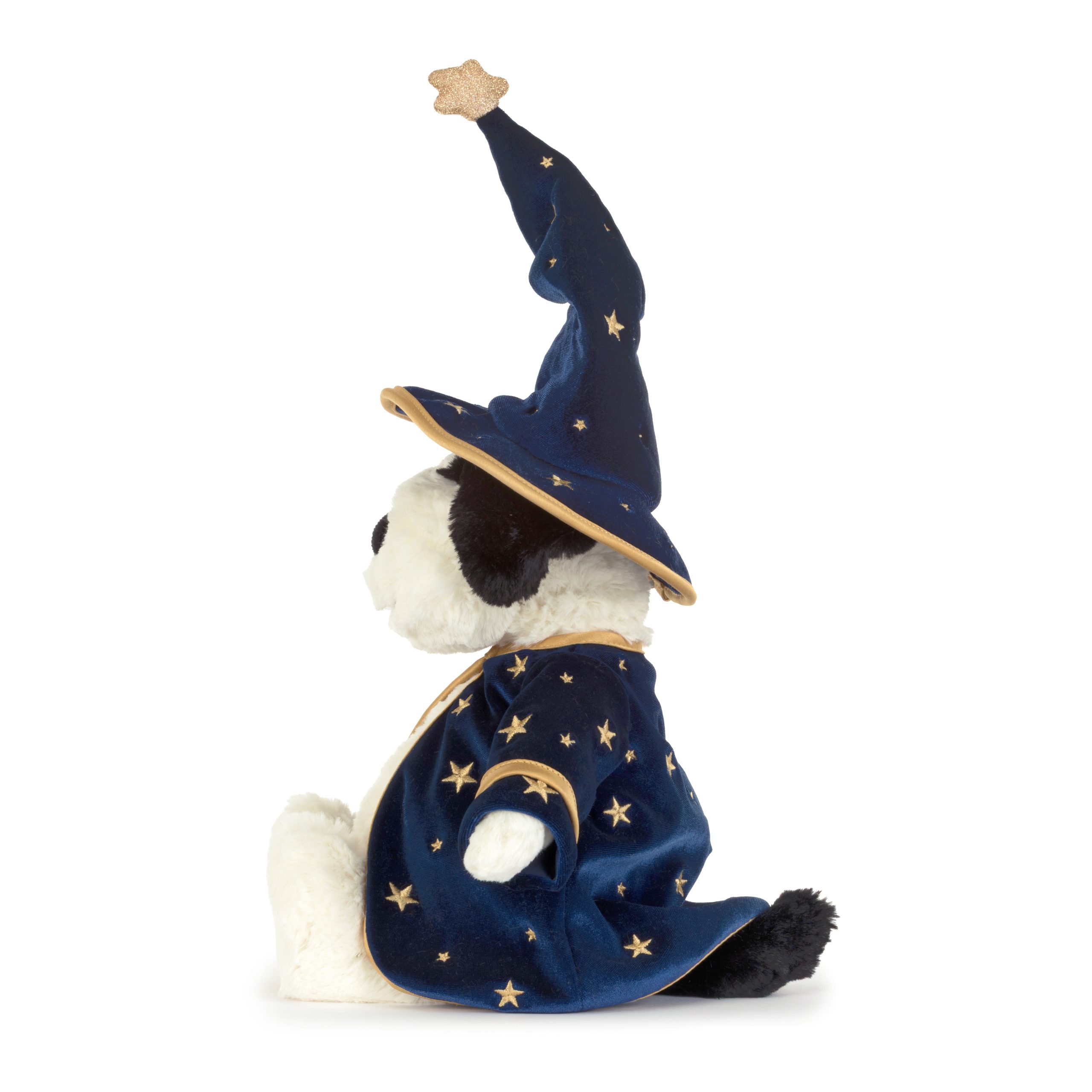 BAS3BCPW-Rufferty-Puppy-Wizard-Outfit-2